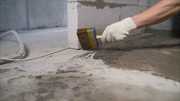 SJ Waterproofing Pros Waterproofing coverage map for Bushton, KS and surrounding area